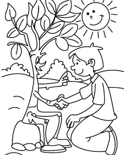 کاشت نهال (4).jpg